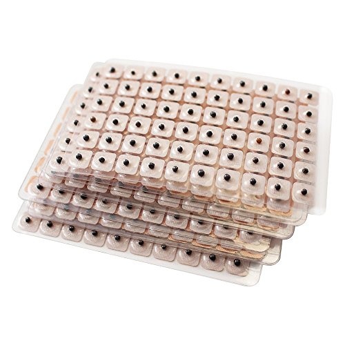 Akupunktur Vaccaria Ohrsamen 600 Stück Nachfüllpackung