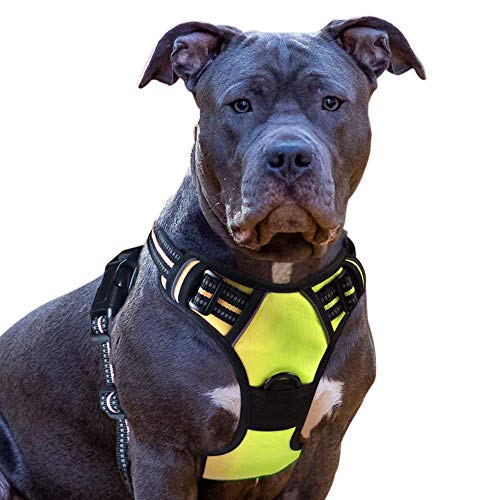 Eagloo Hundegeschirr Geschirr für Große Hunde Anti Zug Mittelgroße Brustgeschirr No Pull Sicherheitsgeschirr Auto Dog Harness Labrador Welpengeschirr Joggen Ausbruchsicher Weich Gepolstert Grün L