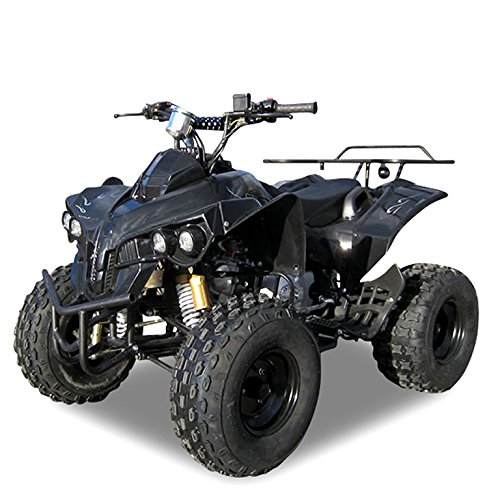 Kinder Quad S-10 125 cc Motor Miniquad Midiquad 125 ccm Warrior (Schwarz)