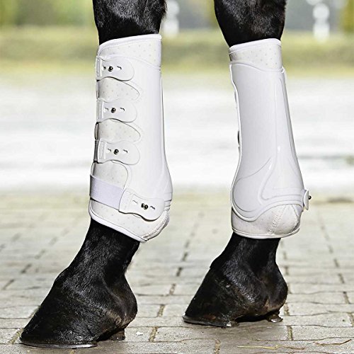 BUSSE Gamaschen DRESSAGE-PRO, weiß, L