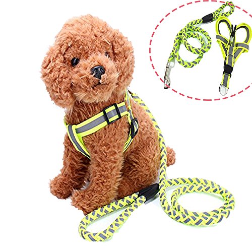Reflektierende No-Pull & No-Choke-Hundegeschirr mit passender Leine für kleine, mittlere und große Größe Hunde-Heavy Duty für Training & Nacht Walking - Einstellbare und Leichtbau für Ihr Haustier
