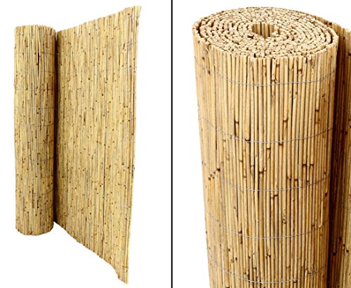 Schilfrohrmatte Premium, 120 x 600cm Sichtschutzmatte Schilfmatten