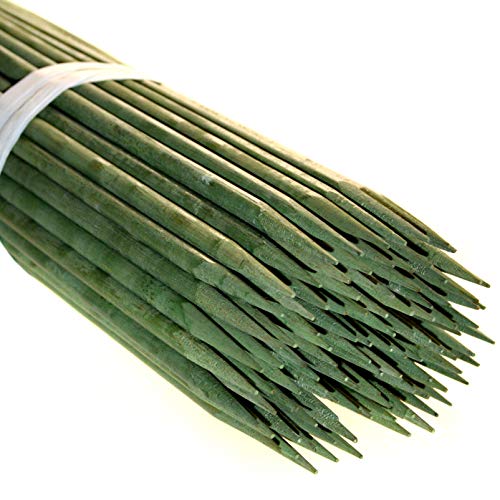 G.G. 100 x Bambus Pflanzstäbe 60 cm Pflanzenstäbe Bambussplitt Splittstäbe Anzucht Rankhilfe …