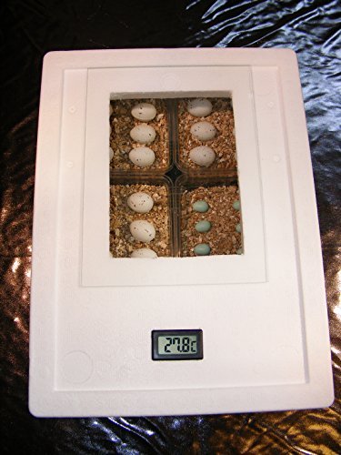 ST2 Reptilien Inkubator/Incubator/Brutmaschine/Brutapparat/Brüter/Brutkasten