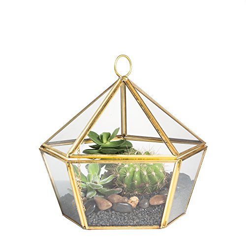 Modernes kunstvolles, geometrisches Terrarium, fünfeckig, Schmuckkästchen-Optik, Messing, Kupfer, Klarglas, Pflanzgefäß für Moos, Farn, Luftpflanze, Sukkulente, Dekorbehälter mit Klappdeckel, Gold