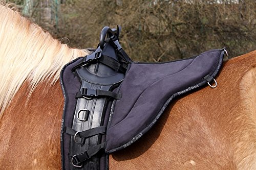 Sitz für Longier- und Therapiegurt