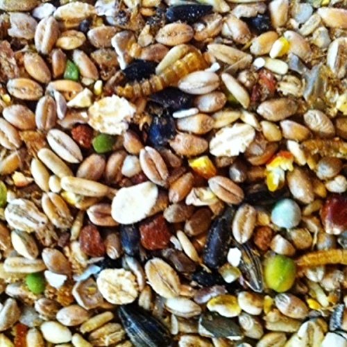 25kg Mecklenburger Landkörnerfutter Premium - mit Mehlwürmern und Bachflohkrebsen