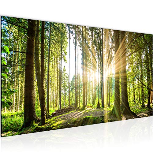 Bilder Wald Landschaft Wandbild 100 x 40 cm Vlies - Leinwand Bild XXL Format Wandbilder Wohnzimmer Wohnung Deko Kunstdrucke Grün 1 Teilig - Made IN Germany - Fertig zum Aufhängen 503812b