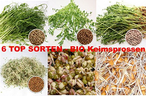 2,6 kg BIO Keimsprossen Mischung -6 Sorten Mix- Keimsaat Samen für die Sprossenanzucht 250g Erbsen, 500 g Kichererbseb, 100 g Linsen, 250 g Alfalfa, 500 g Mungobohnen, 1 kg Weizen Sprossen Microgreen Mikrogrün