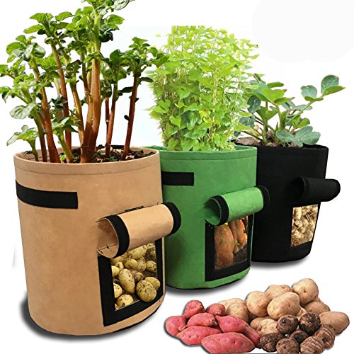 HomeYoo Kartoffel pflanzbeutel, Pflanztasche, 3 Stück Pflanze Wachsende Tasche, 7 Gallons Grow Bag Garten Übertopf Vliesstoff Pflanzsack mit Griffe für Kartoffeln, Tomaten und Erdbeeren (3)