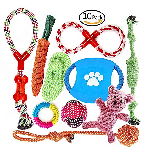 Welpenspielzeug, Hergestellt aus Natürlicher Baumwolle ungiftig und geruchlos Robust Besser für Zahnreinigung Geeignet für kleine Und Mittlere Hunde Hundespielzeug set 10 PCS
