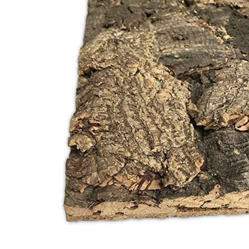 Vogelgaleria Terrarium Korkrückwand 60 x 30cm | Kork Rückwand 3D für Terrarien | hochwertige Deko Terrarienrückwand