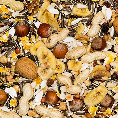 Pauls Mühle Eichhörnchenfutter Deluxe 3 kg