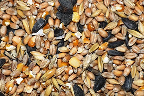 25kg Mecklenburger Landkörnerfutter - GVO frei