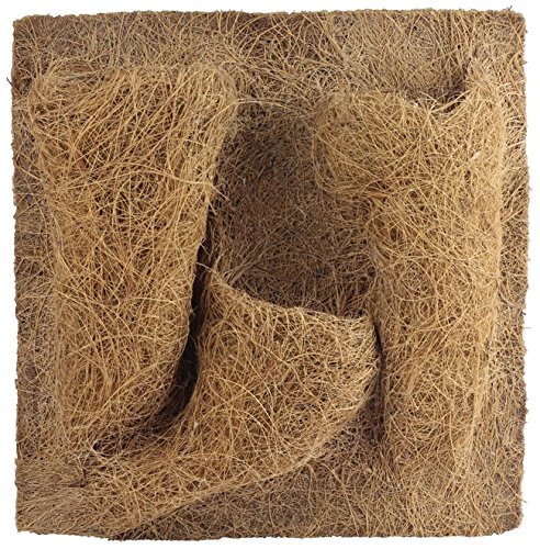 Reptiles Planet Habitat-Dekoration Planting Background 30 x 30 x 1 cm