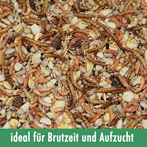 Paul's Mühle Wildvogelfutter Phönix 10 kg