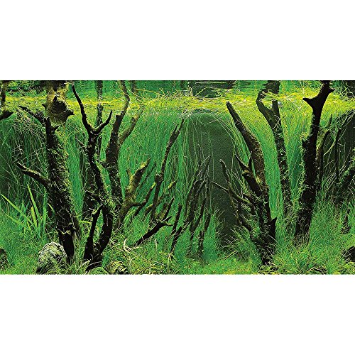 Hobby 31020 Fotorückwand-Zuschnitt Canyon / Woodland