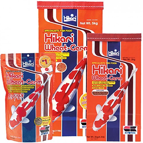 Hikari Koifutter Wheat Germ medium 10 kg