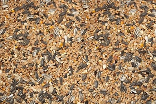 25kg FutterXL Streufutter / Winterstreufutter für Vögel