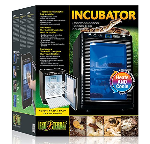 Exo Terra Inkubator - Thermoelektrischer Inkubator für Reptilien-Eier