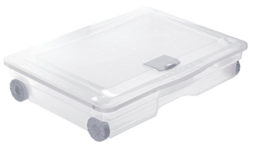 Rotho Cargo Unterbettbox 60 l, Kunststoff (PP), transparent, 60 Liter  (80 x 60 x 18 cm)