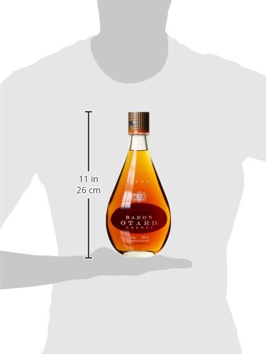 Baron Otard VSOP Cognac (1 x 0.7 l)