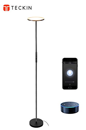 Stehlampe LED Deckenfluter Stehleuchte Dimmbar,TECKIN Wlan Smart Alexa Wifi Standleuchte Fernbedienbar,Funktioniert mit 3000K Warmes Weißes Licht für Schlafzimmer Wohnzimmer Büro(Schwarz)