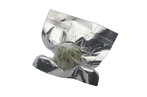 Feelino XXL 400ml doppelwandiges Thermo-Glas 'Ice-Bloom' inkl. einer Teeblume, extra großes Teeglas/Kaffeeglas mit Schwebeeffekt - auch als tolles Geschenk in schöner Box