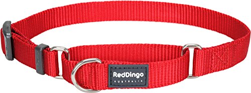 Red Dingo Martingale Hundehalsband, einfarbig