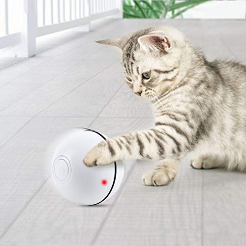 Namsan Katzenspielzeug Elektrisch Katzenball interaktives Spielzeug für Katzen mit LED Licht USB-Aufladung
