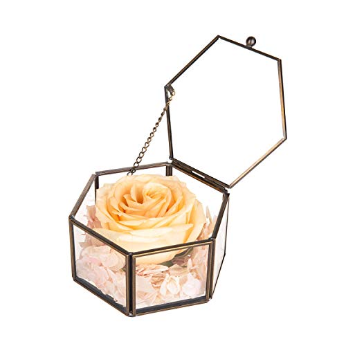 Feyarl Glasbox Geometrisches Glas Terrarium Box handgemacht Messing verzierte Ringe Ohrringe Box Konserviert Blume Dekorative Box Schmuckkästchen