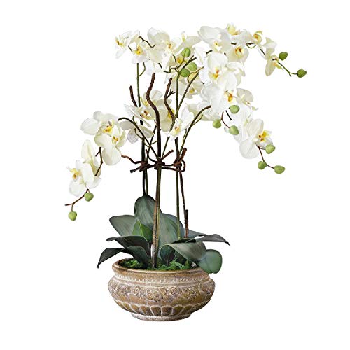 PureDay Kunstpflanze Orchidee Weiß-Creme mit Übertopf aus Keramik Braun 58 cm Hoch