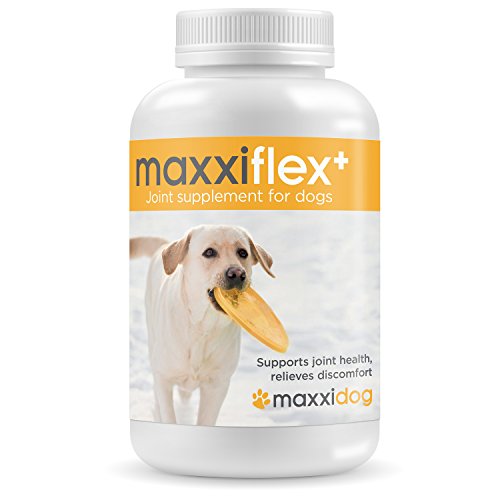 maxxidog – maxxiflex+ Fortschrittliches Gelenk-Nahrungsergänzungsmittel für Hunde – Glukosamin, Chondroitin, MSM, Hyaluronsäure, Teufelsklaue, Bromelain, Gelbwurz – 120 mundgerechte Tabletten