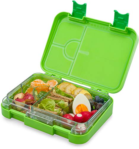 schmatzfatz junior Kinder Lunchbox, Bento Box mit variablen Fächern (Grün)