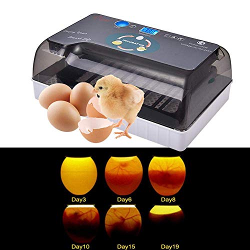 Ksruee Brutmaschine Vollautomatisch Hühner Eier Brutgerät, mit Effizienter LED Beleuchtung Feuchtigkeitsfest Energiesparend Kühltechnologie bis 35 Eier