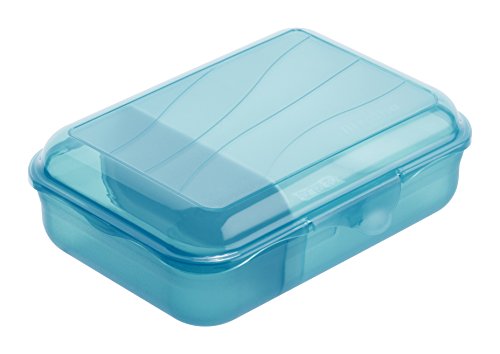 Rotho 1111806113 Vesperdose mit herausnehmbarer Trennwand (Größe: S) 0.9 L Inhalt, BPA-frei - Hergestellt in Schweiz, Kunststoff, aqua blau, 18 x 13 x 6 cm