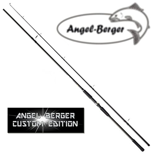 Angel Berger Karpfenrute Karpfenangel Steckrute