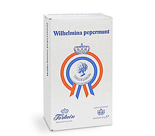Wilhelmina Pepermunt Pastillen 3000g Karton (Pfefferminz)