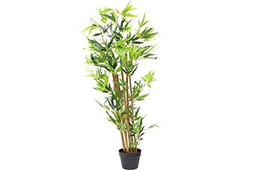 Tradix GmbH & Co. KG Deko Pflanze Bambus mit echten Stämmchen im Topf 130 cm
