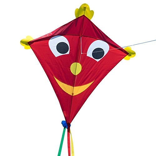 Großer Kinderdrachen - SUPER-DRACHEN Happy Eddy XL – Einleiner Flugdrachen für Kinder ab 6 Jahren - 102x108cm - inklusiv 80m Drachenschnur und Streifenschwänze