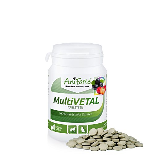 AniForte MultiVETAL Tabletten 100 Stück für Katzen und Hunde, Natürliches Multi-Vitamin mit Bierhefe, Gerstengras, Acerola und Acai