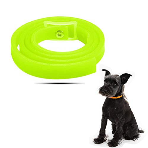 Yissma Halsband für Hunde und Katzen, Wasserdicht Hund Flohhalsband für Kleine Groß Haustiere,Natürliche & Sicherheit, natürliche Formel