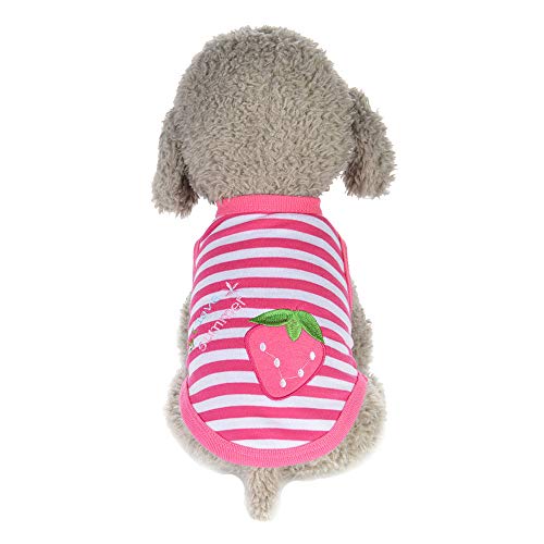 Hawkimin Kleidung Hund Haustier-Kleidung Welpe Rundhals-Shirt Zwei-Bein-Kleidung Erdbeer Muster Weste