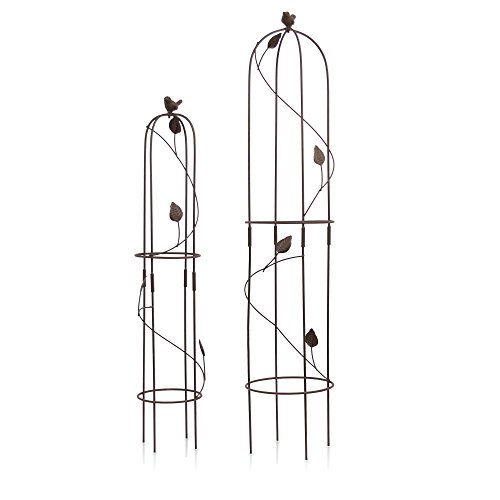 1PLUS Metall Rankhilfe Obelisken Set, 2 Stück, Höhe: 80,5 und 100 cm, in versch. Farben - rost-geschützte Garten Rosen Säule (Harkness, Braun)