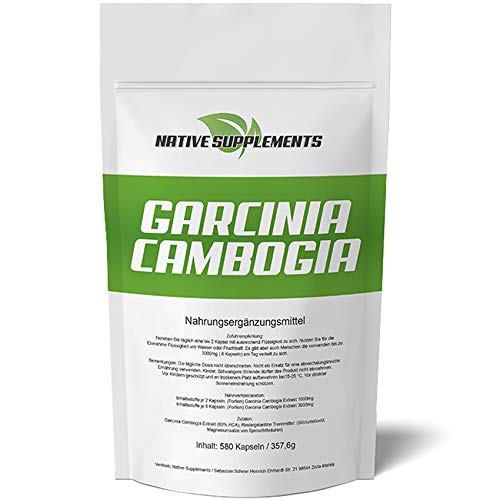580 Kapseln Garcinia Cambogia Extract, Hochdosiert - 3000mg / Tagesdosis, 60% HCA, Fat Blocker aus Deutschland