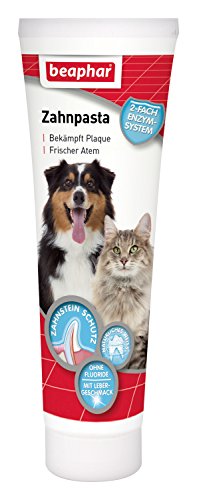 Zahnpasta für Hunde & Katzen | Zur Bekämpfung von Plaque | Paste mit Leber-Geschmack | Zur Zahnpflege bei Hunden & Katzen | Ohne Fluorid | 100 g