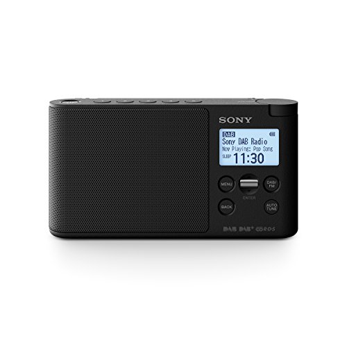 Sony XDR-S41D Digitalradio (DAB+, FM, RDS, Wecker)