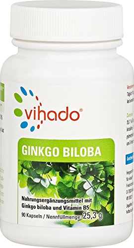 Vihado Ginkgo Biloba Kapseln hochdosiert - Ginkgo Biloba Baum-Blatt Pulver + Pantothensäure für normale geistige Leistung , 90 Kapseln, 1er Pack (1 x 25,3 g)