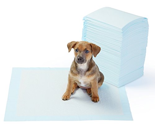 AmazonBasics Puppy Pads Trainingsunterlagen für Welpen, Standardgröße, 100 Stück