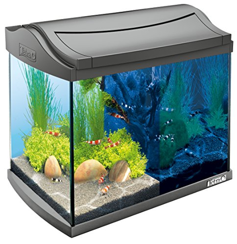 Tetra AquaArt Discovery Line LED Aquarium-Komplett-Set 20 Liter anthrazit (inklusive LED-Beleuchtung, Tag- und Nachtlichtschaltung, Innenfilter und Aquarienpumpe, ideal für Garnelen)